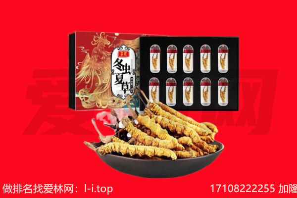 晋中回收虫草.jpg